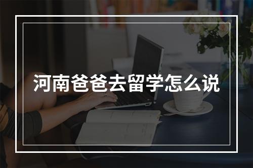 河南爸爸去留学怎么说