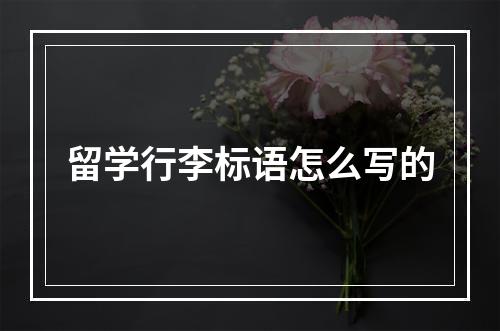 留学行李标语怎么写的