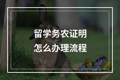 留学务农证明怎么办理流程