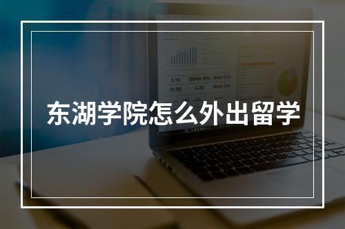 东湖学院怎么外出留学