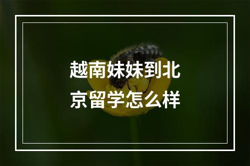 越南妹妹到北京留学怎么样