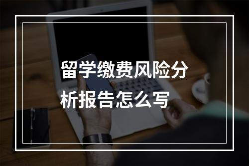 留学缴费风险分析报告怎么写