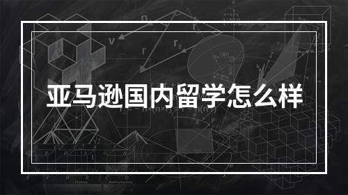 亚马逊国内留学怎么样