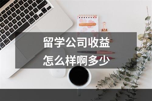 留学公司收益怎么样啊多少