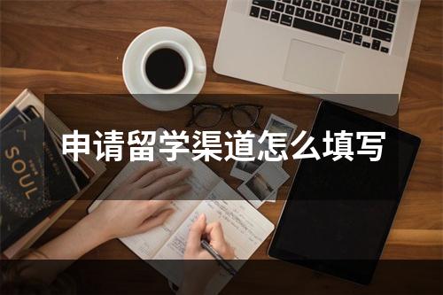 申请留学渠道怎么填写