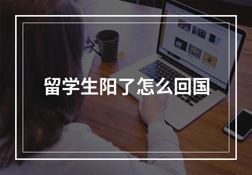 留学生阳了怎么回国