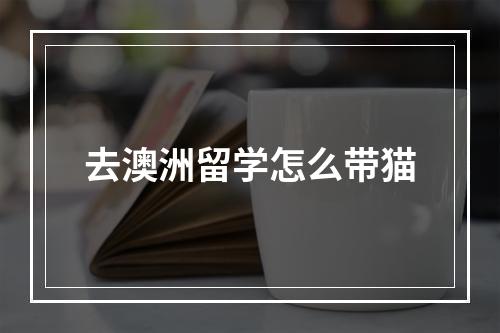 去澳洲留学怎么带猫