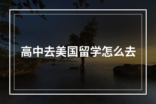 高中去美国留学怎么去