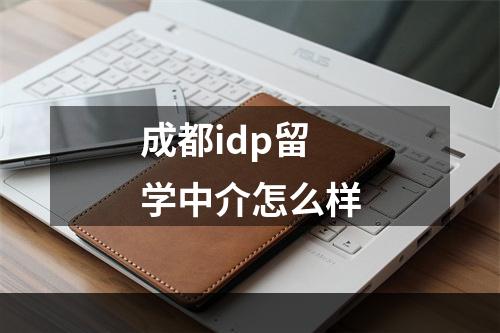 成都idp留学中介怎么样