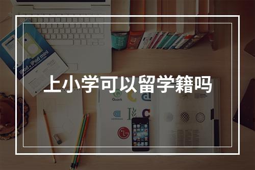 上小学可以留学籍吗