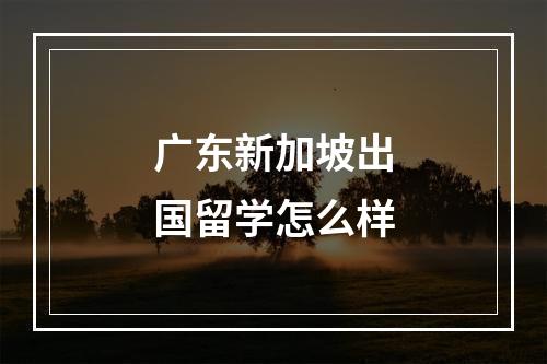 广东新加坡出国留学怎么样