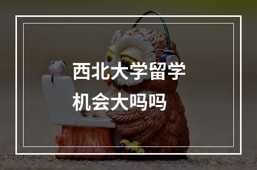 西北大学留学机会大吗吗