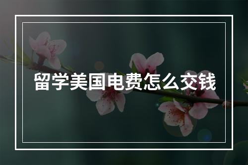 留学美国电费怎么交钱