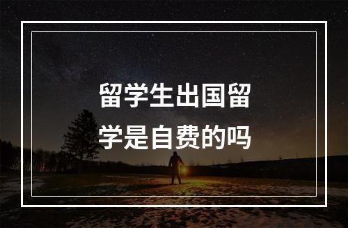 留学生出国留学是自费的吗