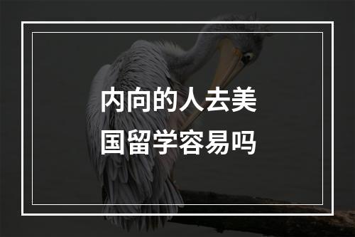 内向的人去美国留学容易吗