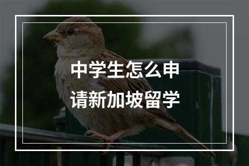 中学生怎么申请新加坡留学