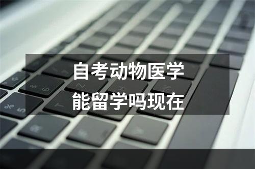 自考动物医学能留学吗现在