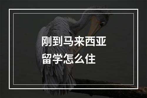 刚到马来西亚留学怎么住