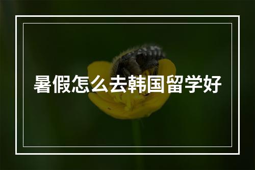 暑假怎么去韩国留学好