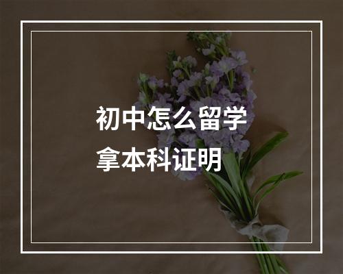 初中怎么留学拿本科证明