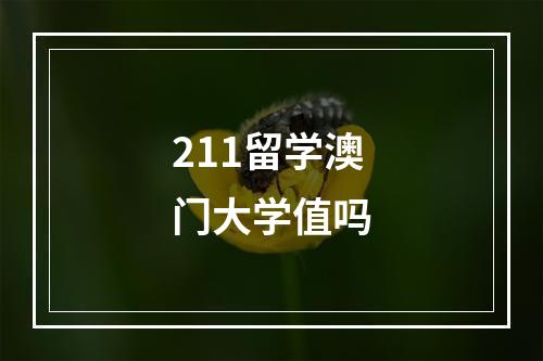 211留学澳门大学值吗