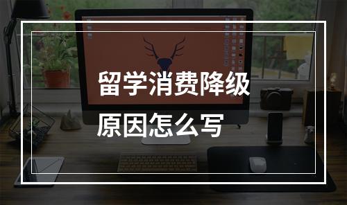 留学消费降级原因怎么写