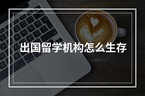 出国留学机构怎么生存