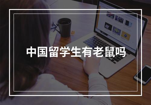 中国留学生有老鼠吗