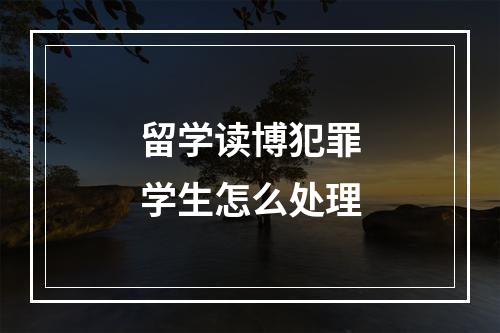 留学读博犯罪学生怎么处理