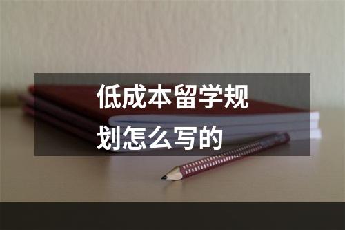 低成本留学规划怎么写的