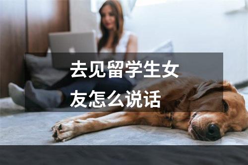 去见留学生女友怎么说话