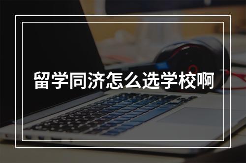 留学同济怎么选学校啊