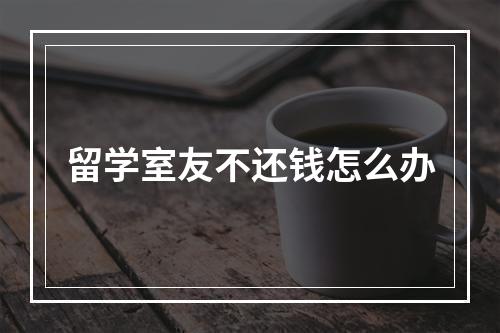 留学室友不还钱怎么办