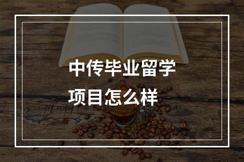 中传毕业留学项目怎么样