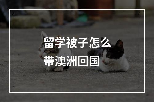 留学被子怎么带澳洲回国