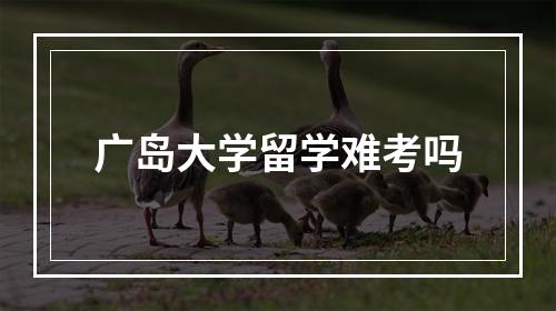 广岛大学留学难考吗