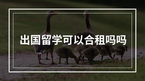 出国留学可以合租吗吗