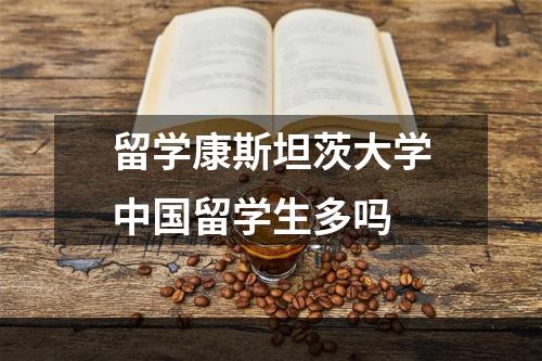 留学康斯坦茨大学中国留学生多吗