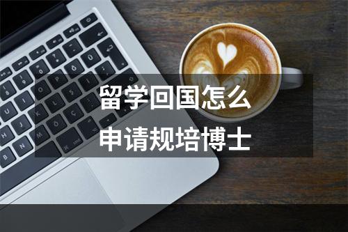 留学回国怎么申请规培博士