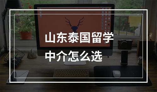 山东泰国留学中介怎么选