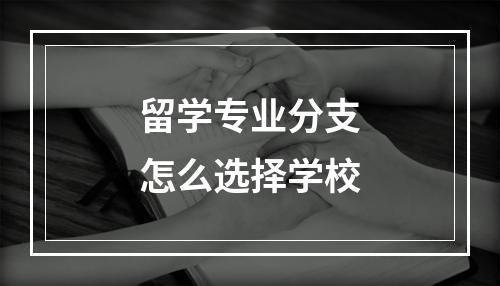 留学专业分支怎么选择学校