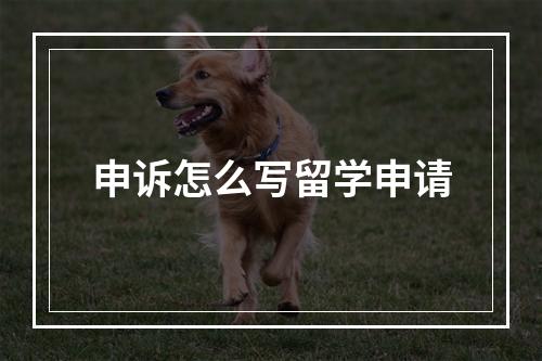 申诉怎么写留学申请