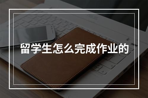 留学生怎么完成作业的