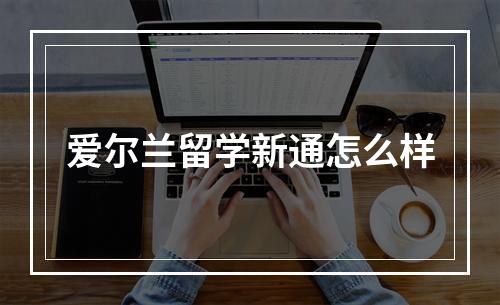 爱尔兰留学新通怎么样