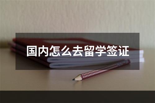 国内怎么去留学签证