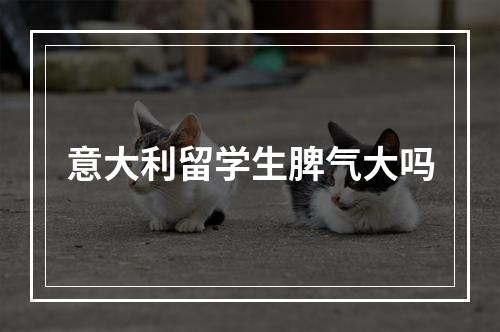 意大利留学生脾气大吗