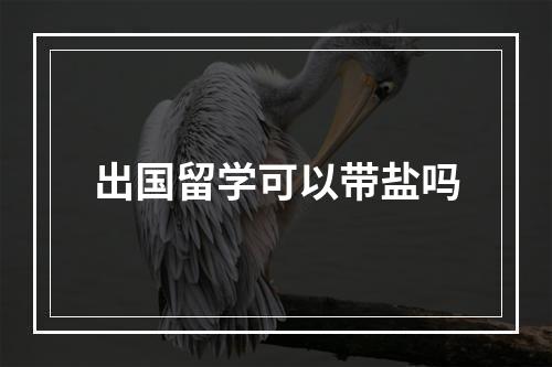 出国留学可以带盐吗