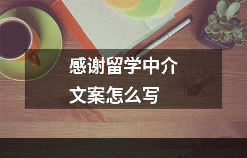 感谢留学中介文案怎么写