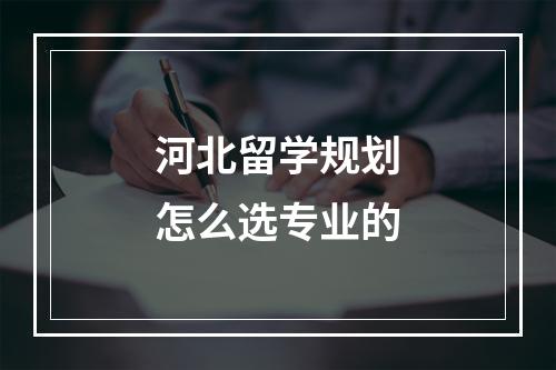 河北留学规划怎么选专业的