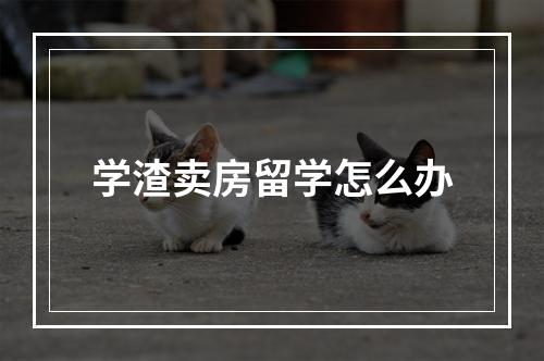 学渣卖房留学怎么办